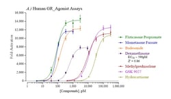 Indigo Biosciences&nbsp;Human Glucocorticoid Receptor (GR, NR3C1) All-inclusive Cell-Based Luciferase Reporter Assay Kit, 96-well assay plate format