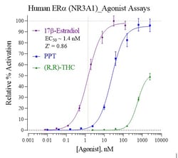 Indigo Biosciences Human Estrogen Receptor alpha (ERa, NR3A1) All-inclusive