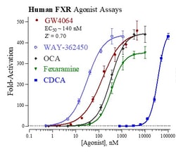 Indigo Biosciences Human Farnesoid X Receptor (FXR, NR1H4) All-inclusive