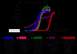 Indigo Biosciences Human Vitamin D Receptor (VDR, NR1I1) All-inclusive Cell-Based Luciferase Reporter Assay Kit, 96-well assay plate format