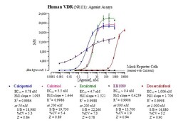 Indigo Biosciences Human Vitamin D Receptor (VDR, NR1I1) All-inclusive