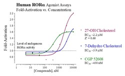Indigo Biosciences&nbsp;Human RAR-related Orphan Receptor alpha (RORa, NR1F1) All-inclusive Cell-Based Luciferase Reporter Assay Kit, 96-well assay plate format