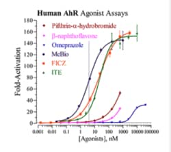 Indigo Biosciences Human Aryl Hydrocarbon Receptor (AhR) All-inclusive