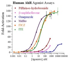 Indigo Biosciences&nbsp;Human Aryl Hydrocarbon Receptor (AhR) All-inclusive Cell-Based Luciferase Reporter Assay Kit, 384-well assay plate format