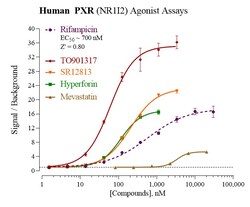 Indigo Biosciences Human Pregnane X Receptor (PXR, NR1I2) All-inclusive