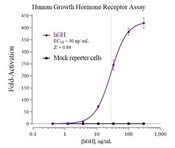 Indigo Biosciences&nbsp;Human Growth Hormone Receptor (GHR) All-inclusive Cell-Based Luciferase Reporter Assay Kit, 96-well assay plate format