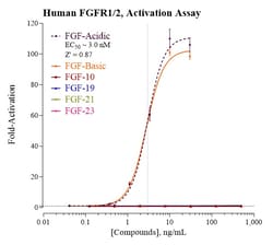Indigo Biosciences&nbsp;Human Fibroblast Growth Factor Receptor 1 & 2 (FGFR1/2) All-inclusive Cell-Based Luciferase Reporter Assay Kit, 96-well assay plate format