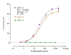 Indigo Biosciences&nbsp;Fibroblast Growth Factor Receptor 1c and -Klotho(FGFR/-Klotho) All-inclusive Cell-Based Luciferase Reporter Assay Kit, 96-well assay plate format