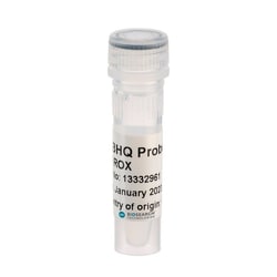 BIOSEARCH TECHNOLOGIES INC (Lucigen) 2X BHQ Probe Master Mix, No ROX, 1.25mlA