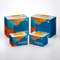 BIOSEARCH TECHNOLOGIES INC (Lucigen) sbeadex SAB (sequencing application