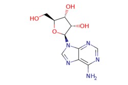 eMolecules​ L-Adenosine | 3080-29-3 | | 1g, Quantity: Each of 1