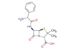 eMolecules​&nbsp;Ampicillin | 69-53-4 |  | 1g