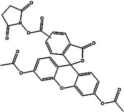 Apexbio Technology LLC CFDA-SE(Synonyms: CFSE, Carboxyfluorescein succinimidyl