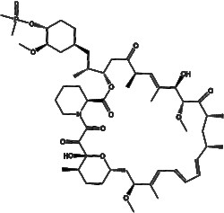 Apexbio Technology LLC Ridaforolimus (Deforolimus, MK-8669) 572924-54-0