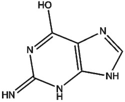 Apexbio Technology LLC Guanine 73-40-5 5g, Quantity: Pack of 1