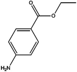 Apexbio Technology LLC Benzocaine 94-09-7 5g, Quantity: Pack of 1