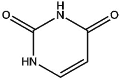 Apexbio Technology LLC Uracil 66-22-8 1g, Quantity: Pack of 1