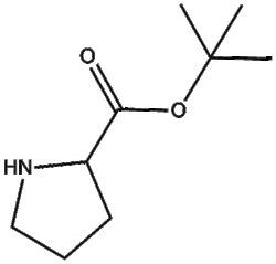 Apexbio Technology LLC H-Pro-OtBu 2812-46-6 5g, Quantity: Pack of 1