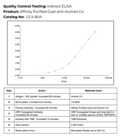 Immunology Consultants Affinity Purified Goat anti-Human C4 Antibody, 1.0