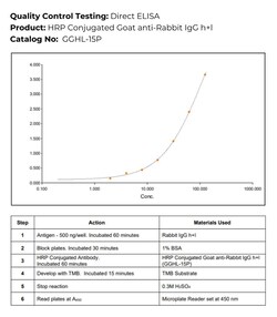 Immunology Consultants HRP Conjugated Goat anti-Rabbit IgG h+l Antibody,