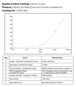 Immunology Consultants Affinity Purified Goat anti-Human Lambda Light Chain