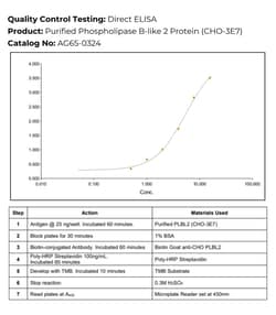 Immunology Consultants Purified phospholipase B-like 2 protein (PLBL-2)