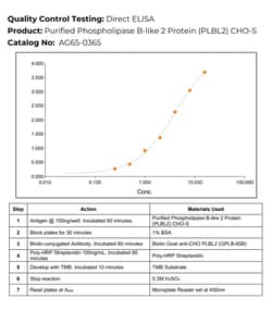 Immunology Consultants Purified phospholipase B-like 2protein (PLBL-2)