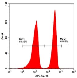 Aat Bioquest APC-Cy7 Tandem (1 mg), Quantity: Each of 1