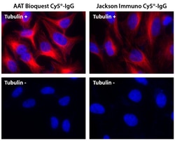 Aat Bioquest Cy5 goat anti-mouse IgG HL (1 mg), Quantity: Each of 1