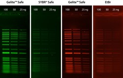 Aat Bioquest&nbsp;Gelite Safe DNA Gel Stain 10000X DMSO Solution (100 ul)