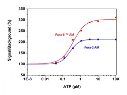 Aat Bioquest Fura-8 AM (1 mg), Quantity: Each of 1