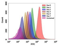 Aat Bioquest&nbsp;CytoTell UltraGreen (500 Tests)