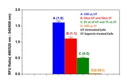 Aat Bioquest Live or Dead Cell Viability Assay Kit Green/Red Dual Fluorescence
