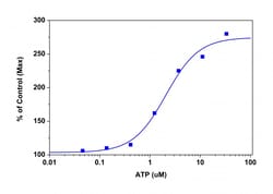 Aat Bioquest Screen Quest Membrane Potential Assay Kit Orange Fluorescence
