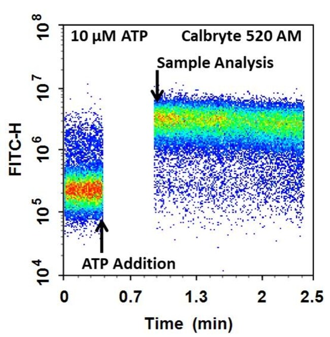 Aat Bioquest Cell Meter Flow Cytometric Calcium Assay Kit (100 Tests