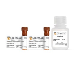 STEMCELL Technologies Caspase-3/7 Activity Plate Reader Assay Kit, Green,