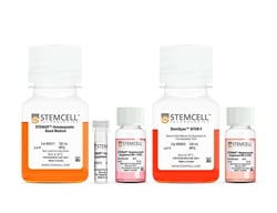 STEMCELL Technologies STEMdiff Megakaryocyte Kit, Size: 1 Kit, Quantity: