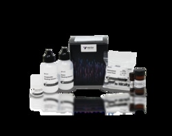 Vector Laboratories Glysite Scout IF 488 GSK-1000, Quantity: Each of 1