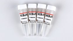 New England Biolabs, Inc. NEBufferr3.1 - 5 mls, Quantity: Each of 1