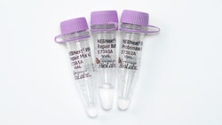 New England Biolabs, Inc. NEBNext FFPE DNA Repair v2 Module 24 rxns
