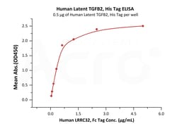 ACROBiosystems Human Latent TGFB2, His Tag (TG2-H5243) is expressed from