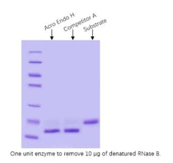 ACROBiosystems Endoglycosidase H (Endo H) is a recombinant glycosidase
