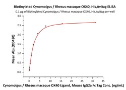 ACROBiosystems Biotinylated Cynomolgus / Rhesus macaque OX40, His,Avitag