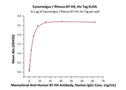 ACROBiosystems Cynomolgus / Rhesus B7-H4, His Tag (B74-C52H9) is expressed