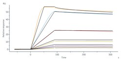 ACROBiosystems Human IL-2RB&IL-2RA&IL-2RG, His Tag&Twin Strep Tag (ILG-H52W9)