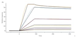 ACROBiosystems Human IL-2RB&IL-2RA&IL-2RG, His Tag&Twin Strep Tag (ILG-H52W9)
