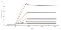 ACROBiosystems Biotinylated Human IL-2RB&IL-2RA&IL-2RG, His,Avitag&Twin