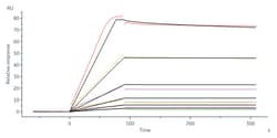 ACROBiosystems Biotinylated Human IL-2RB&IL-2RA&IL-2RG, His,Avitag&Twin