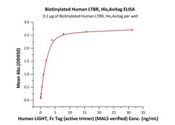 ACROBiosystems Biotinylated Human LTBR, His,Avitag (LTR-H82E9) is expressed