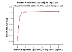 ACROBiosystems Human R-Spondin 1 (21-146), Fc Tag (RS1-H5269) is expressed